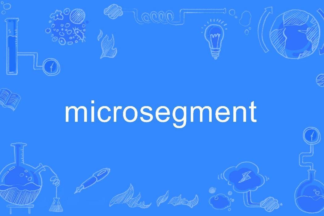 microsegment microsegment