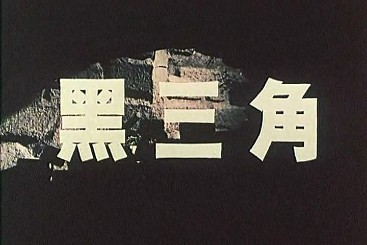 黑三角(1977年張平、雷鳴、凌元主演電影)