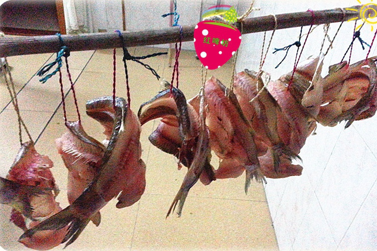 生曬魚乾 生曬魚乾