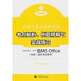 例題精解與實戰練習：一級MS Office