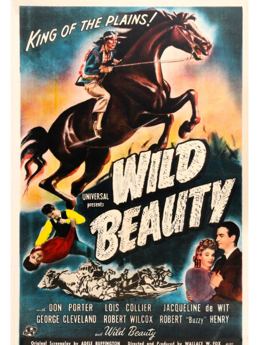 Wild Beauty Wild Beauty