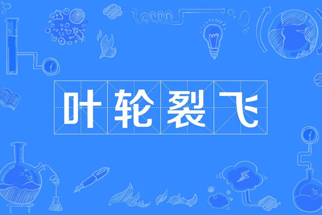 葉輪裂飛 葉輪裂飛