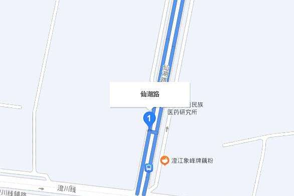 仙湖路(澂江縣道路) 仙湖路(澂江縣道路)