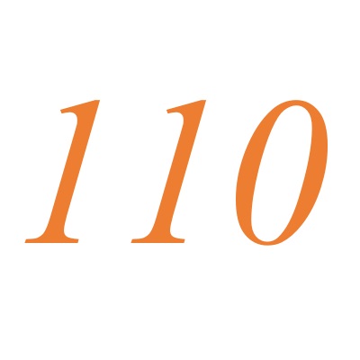 110(自然數之一)