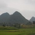 砂沖村 砂沖村