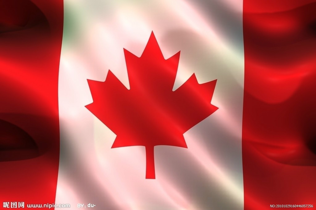 加拿大國旗上的糖槭葉子