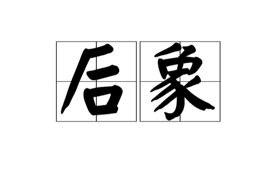 後象(漢語詞語)