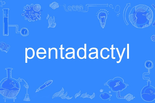pentadactyl pentadactyl