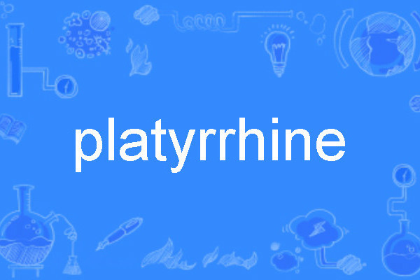 platyrrhine