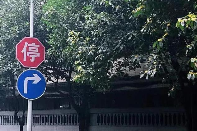 桂花巷(成都市青羊區巷子) 桂花巷(成都市青羊區巷子)