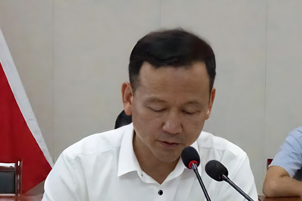 邱雨(江西省贛州市于都縣羅坳鎮黨委書記) 邱雨(江西省贛州市于都縣羅坳鎮黨委書記)