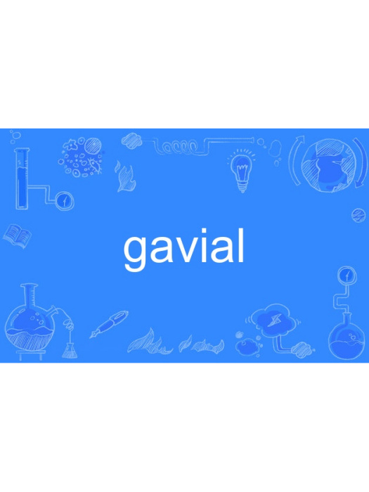 gavial gavial