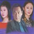 致命關係(電視劇-致命關係) 致命關係(電視劇-致命關係)
