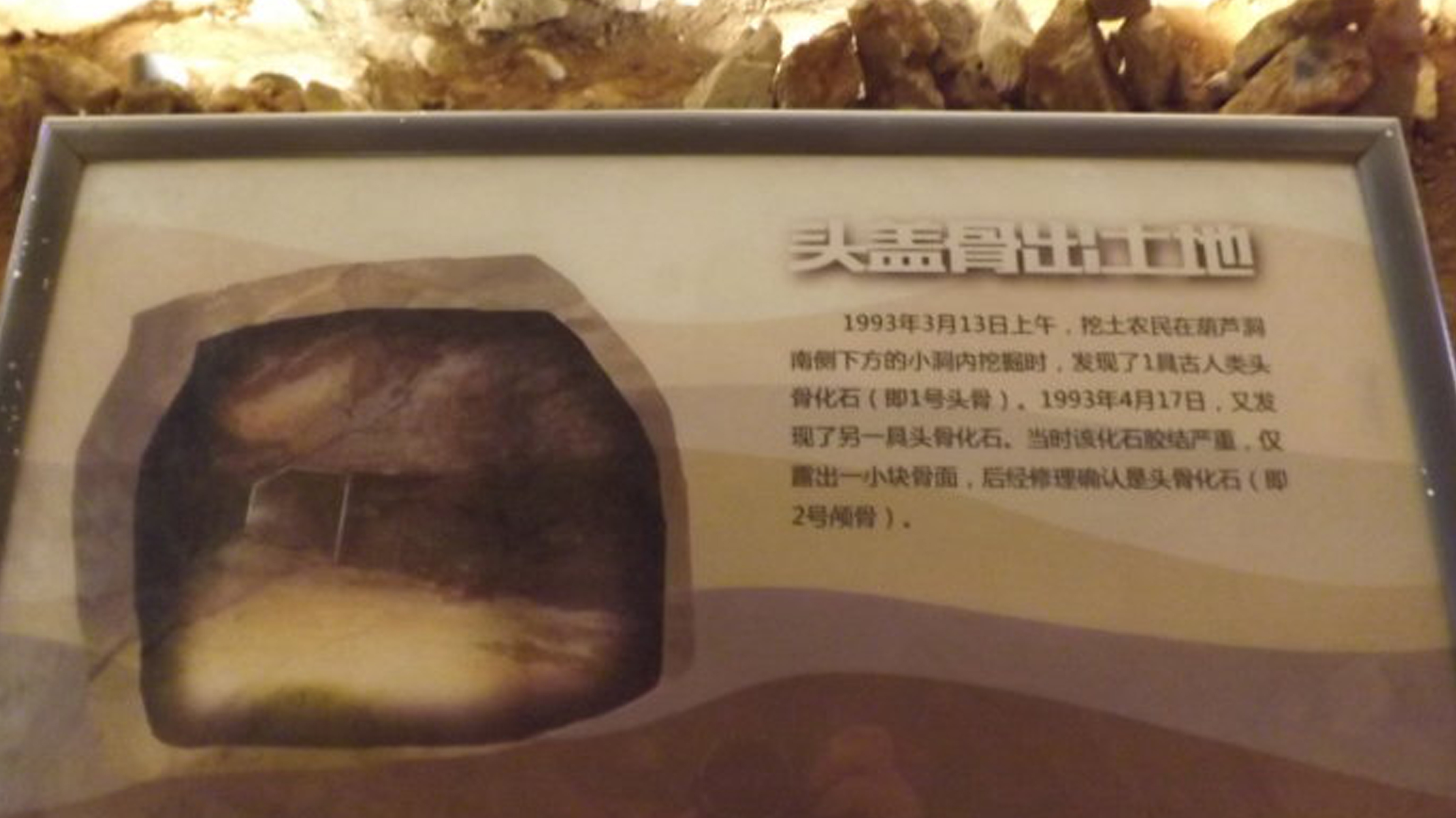 南京人化石地點