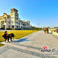 卡達凱斯 卡達凱斯