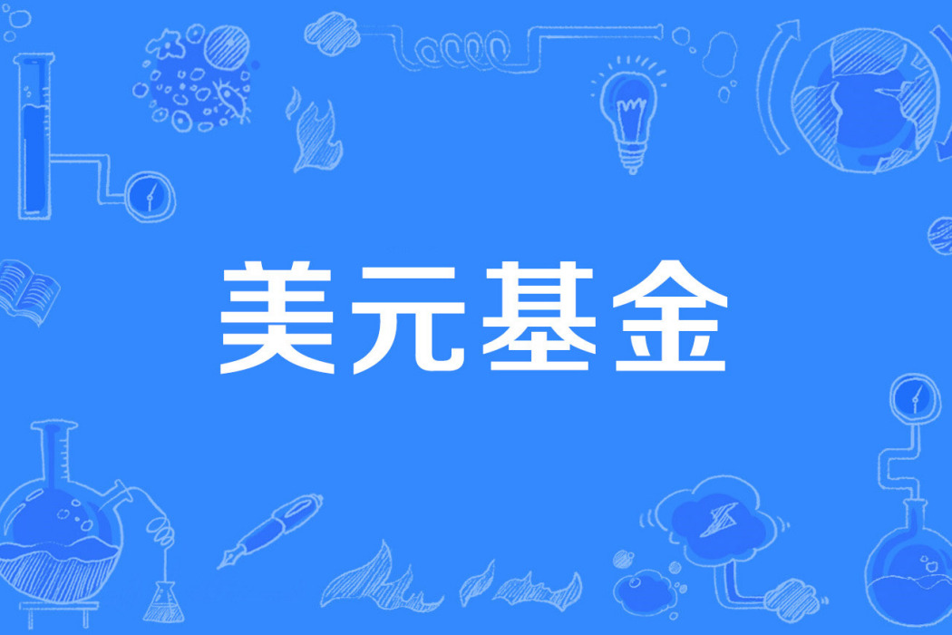 美元基金 美元基金