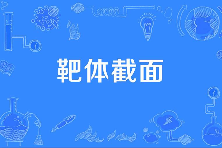 靶體截面 靶體截面