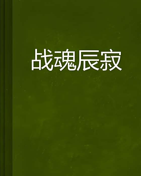 戰魂辰寂 戰魂辰寂