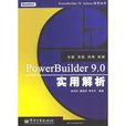PowerBuilder 9.0實用解析