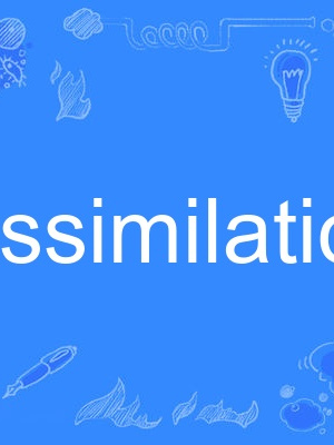 assimilation(英語單詞) assimilation(英語單詞)