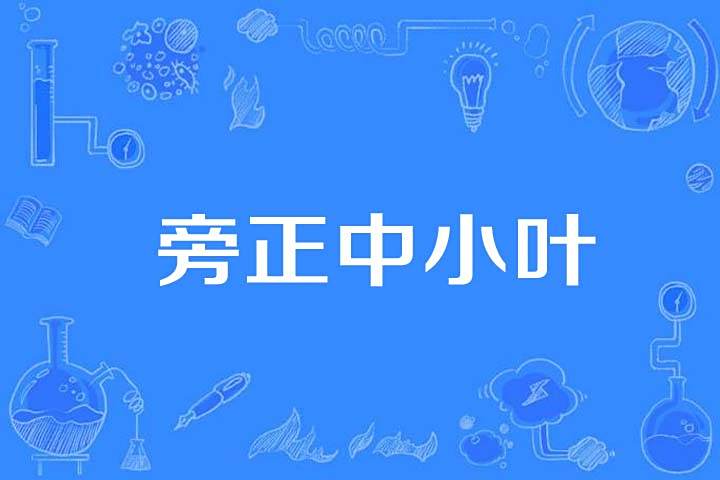 旁正中小葉 旁正中小葉