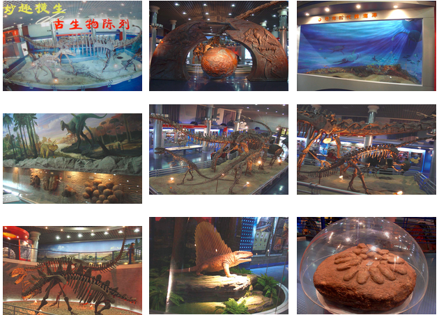 北京自然博物館
