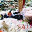 廢塑膠加工利用污染防治管理規定