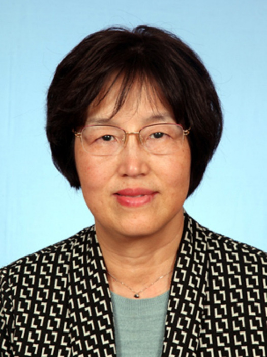 吳瑞君(第十四屆全國政協委員，華東師範大學校長助理、華東師範大學人文與社會科學研究院院長)