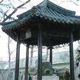 1093年 1093年