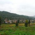 水塘村(貴州省貴陽市修文縣龍場鎮水塘村) 水塘村(貴州省貴陽市修文縣龍場鎮水塘村)