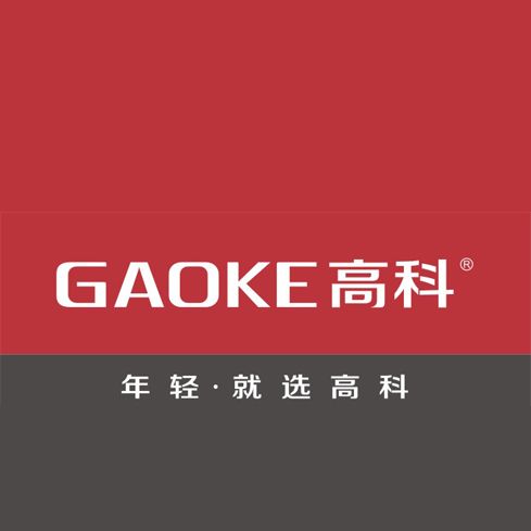 GAOKE高科 GAOKE高科