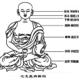 七支坐法 七支坐法