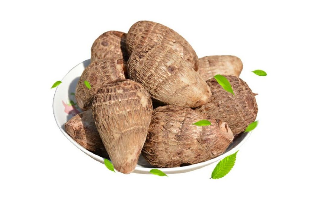 新毛芋艿