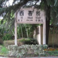 西善橋站 西善橋站