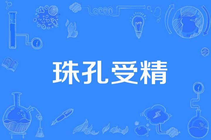 珠孔受精
