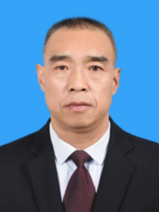 左鋒(甘肅省隴南市禮縣司法局黨組成員、副局長)