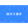 國內大循環(國家戰略)