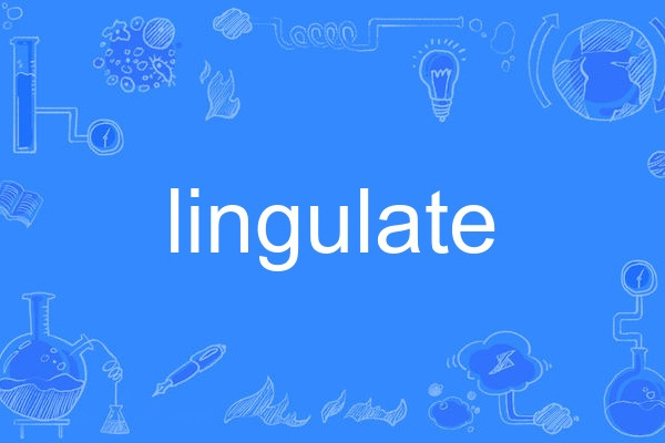 lingulate lingulate