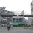 芙蓉金廂園 芙蓉金廂園