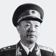 張南生(中國人民解放軍高級將領) 張南生(中國人民解放軍高級將領)