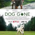 迷途之犬