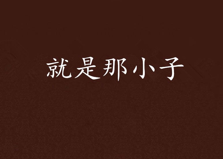 就是那小子 就是那小子