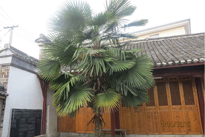 芮家祠堂 芮家祠堂