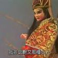 恨世生(布袋戲霹靂城中的人物) 恨世生(布袋戲霹靂城中的人物)
