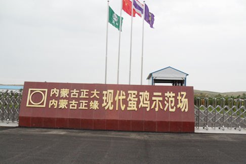 正大12 正大12