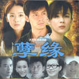 孽緣(2010年鐘澍佳執導情感劇)