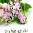 劫婚時代 劫婚時代