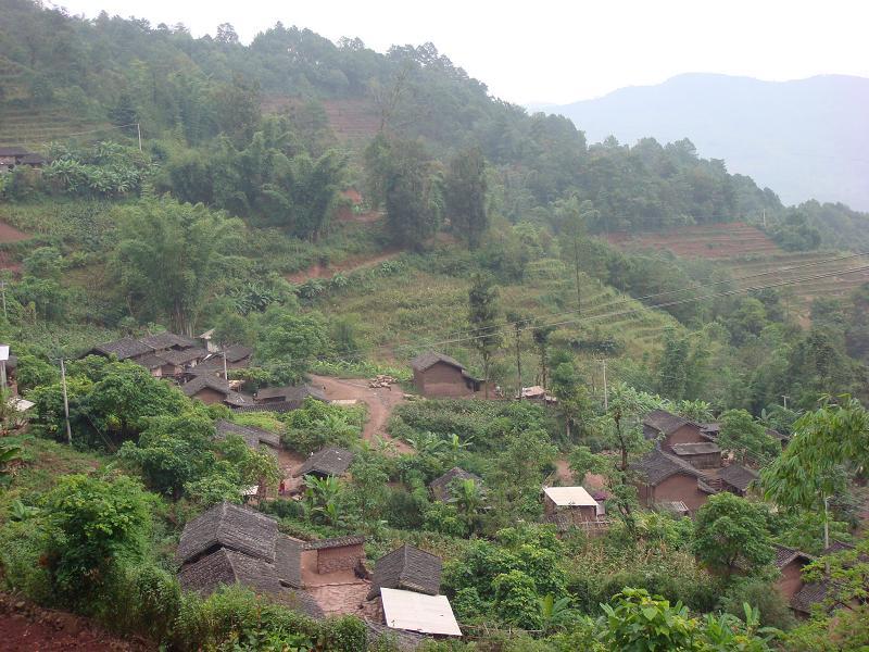 老杜村 老杜村