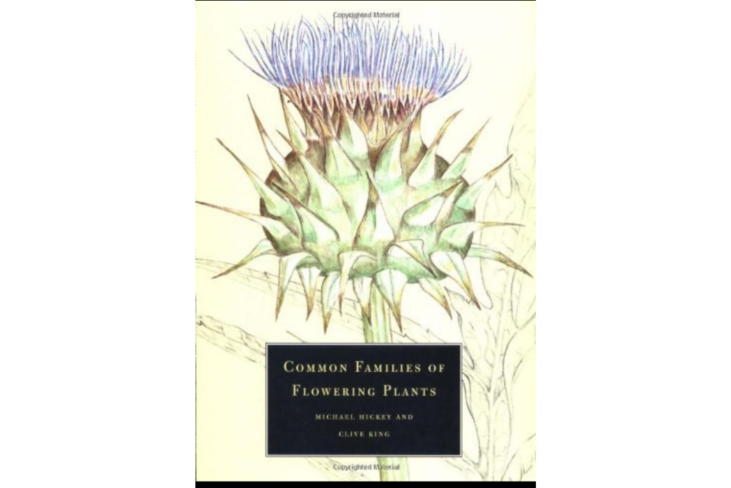 Common Families of Flowering Plants Common Families of Flowering Plants