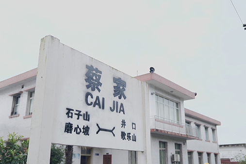 蔡家站(中國重慶市境內鐵路車站) 蔡家站(中國重慶市境內鐵路車站)